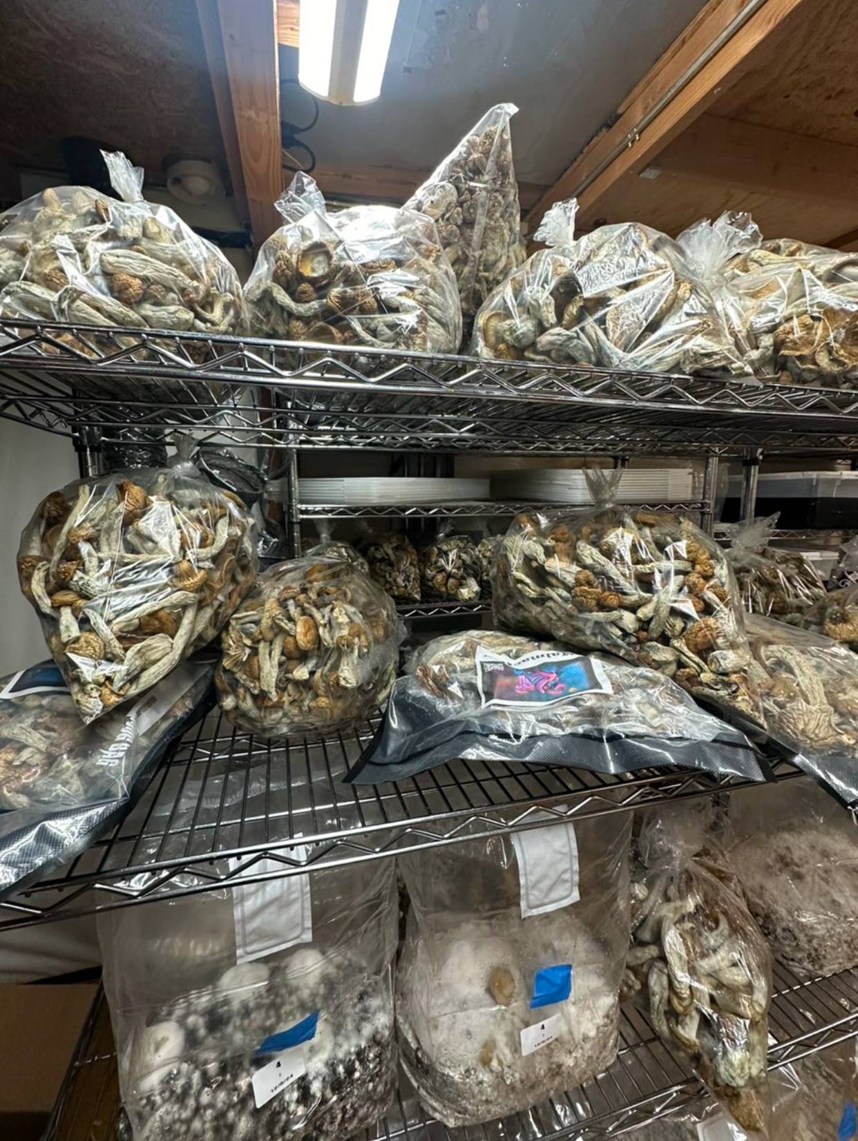 Shrooms