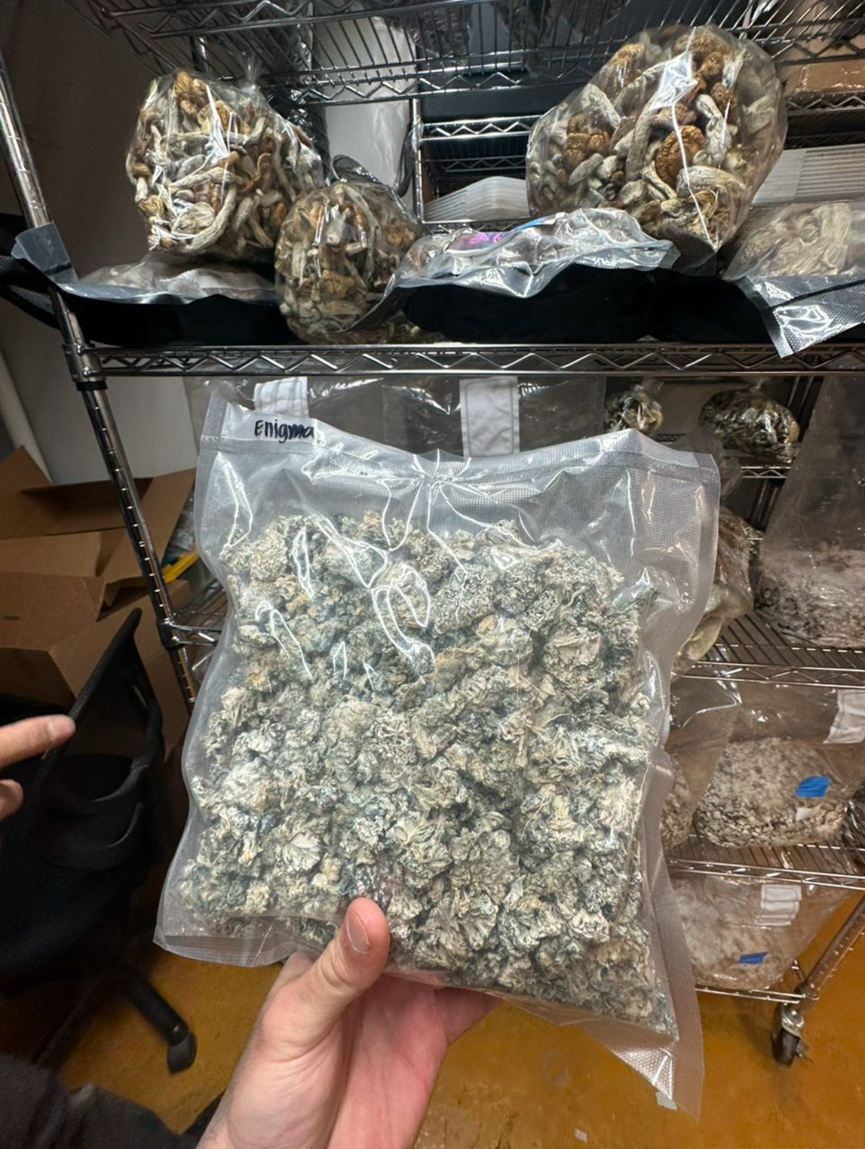 Shrooms