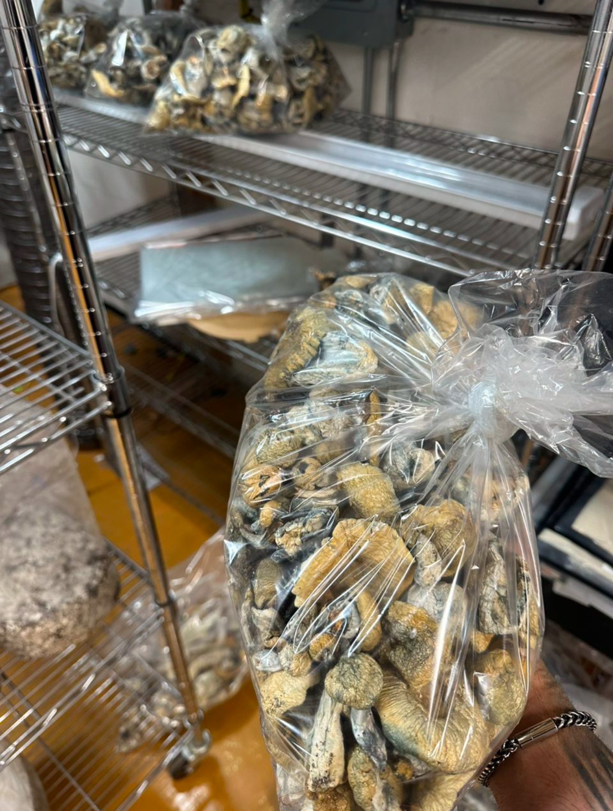 Shrooms