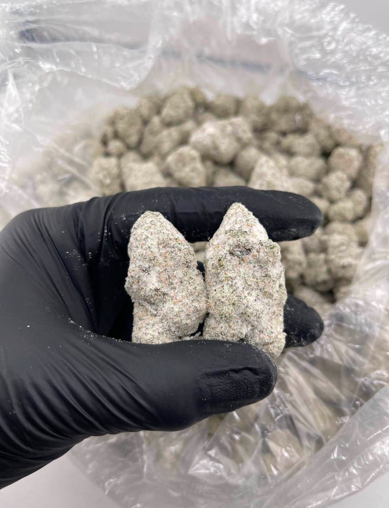 Snow Caps ❄️