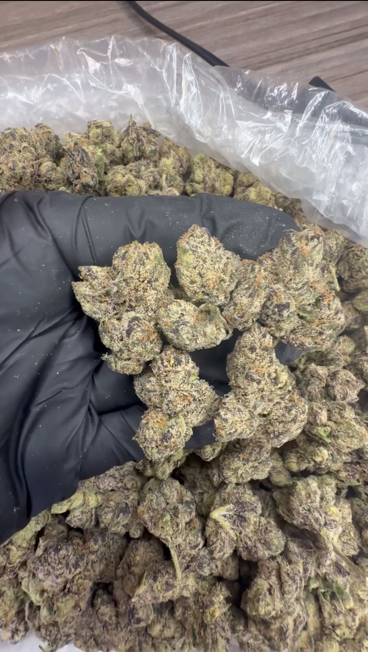 GSC TSX