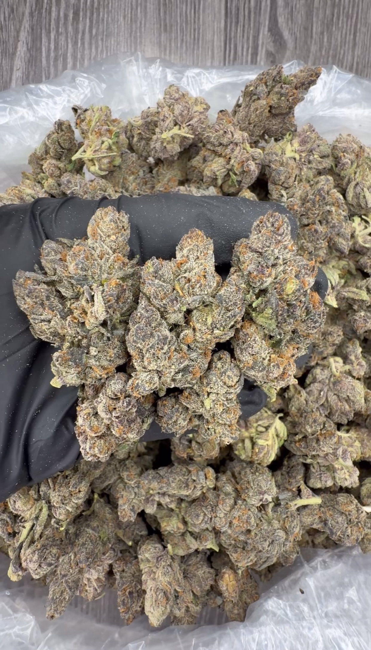 Lemon cherry gelato