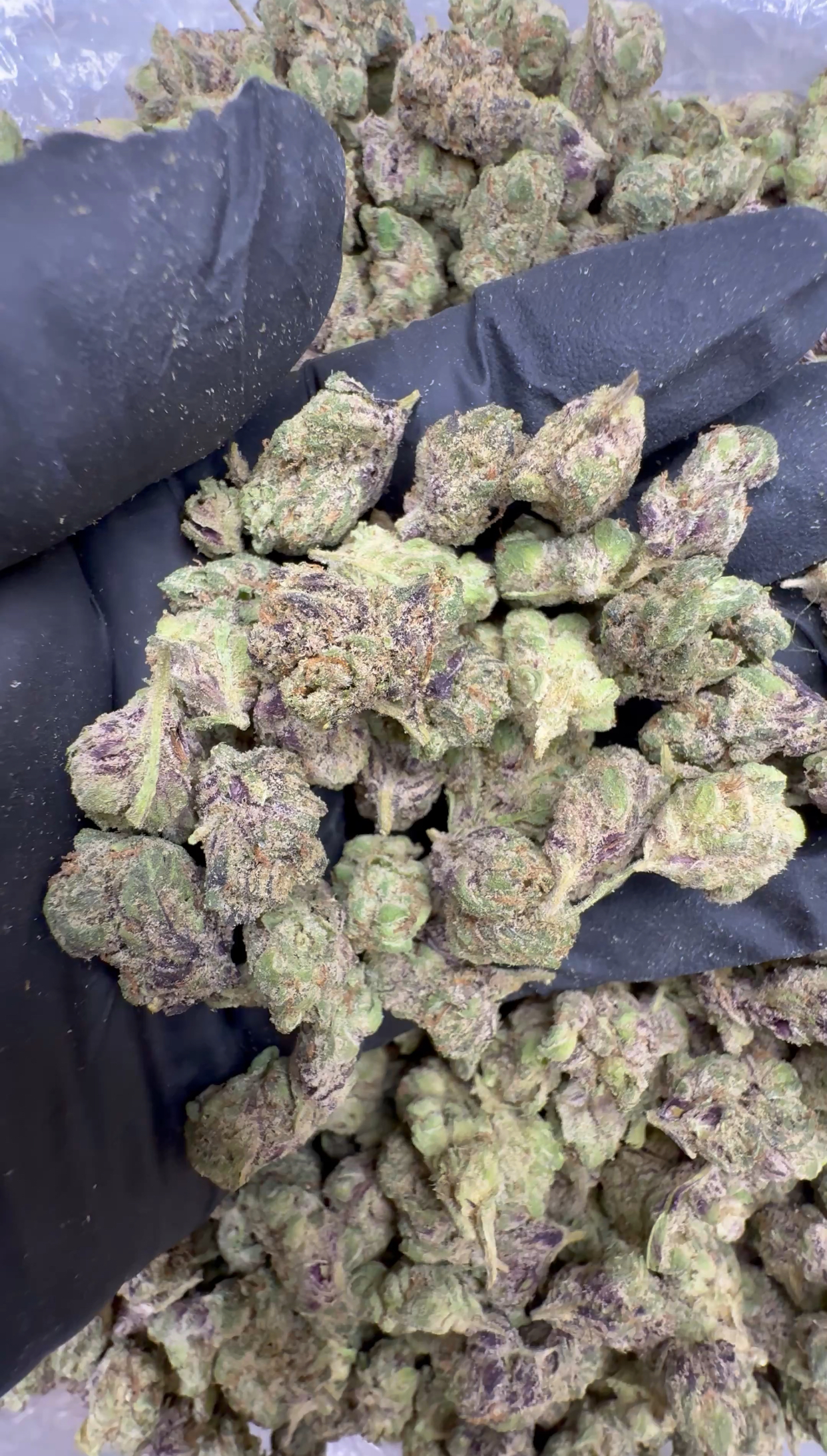 Kandy smalls