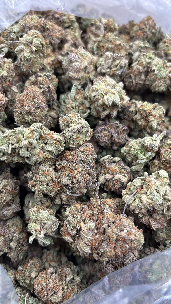 Indoor bubba