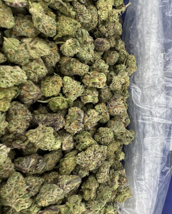 Mendocino Purple (Smalls)