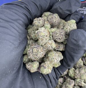 Mendocino Purple (Smalls)