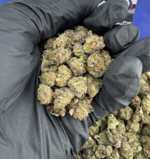 Purple Chem (Smalls)