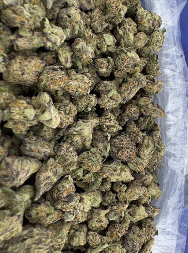 Purple Chem (Smalls)