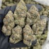 SVJ Candy indoors 🏎️🍬 Gas purple candies caked in frost! Nice sticky cure with great structure and a heavy runtz candy gas nose