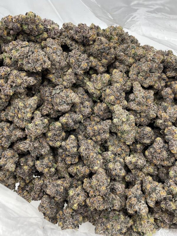 Grape Octane 88 indoors 🍇⛽️ Full color nugs with a crazy grape gas nose! Perfect structure and caked in frost ☃️ fire bag appeal 🔥