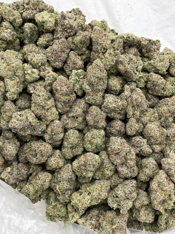 SVJ Candy indoors 🏎️🍬 Gas purple candies caked in frost! Nice sticky cure with great structure and a heavy runtz candy gas nose