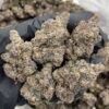 Grape Octane 88 indoors 🍇⛽️ Full color nugs with a crazy grape gas nose! Perfect structure and caked in frost ☃️ fire bag appeal 🔥