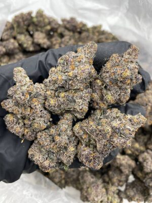 Grape Octane 88 indoors 🍇⛽️ Full color nugs with a crazy grape gas nose! Perfect structure and caked in frost ☃️ fire bag appeal 🔥