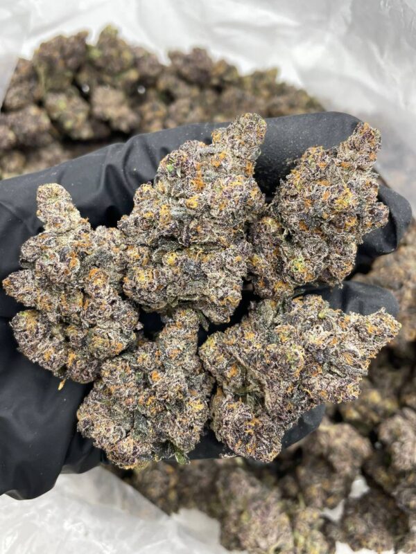 Grape Octane 88 indoors 🍇⛽️ Full color nugs with a crazy grape gas nose! Perfect structure and caked in frost ☃️ fire bag appeal 🔥