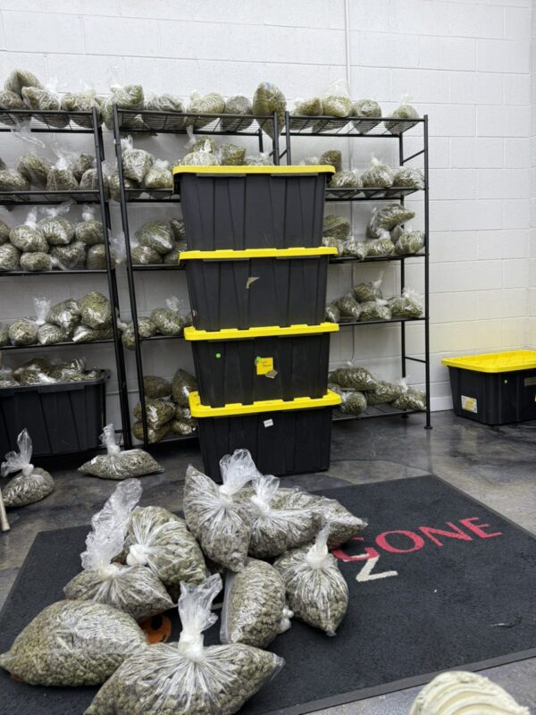 Available deals for flower - 3 pounds smalls 00 -5 pounds smalls 00 -10 pounds smalls 00