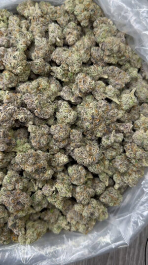 Runts Galore