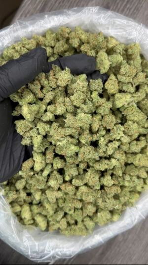 Indoor Tahoe OG smalls