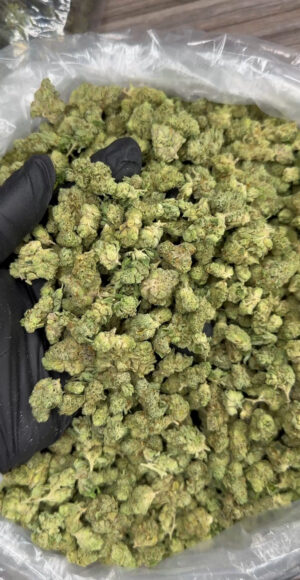 SFV OG smalls