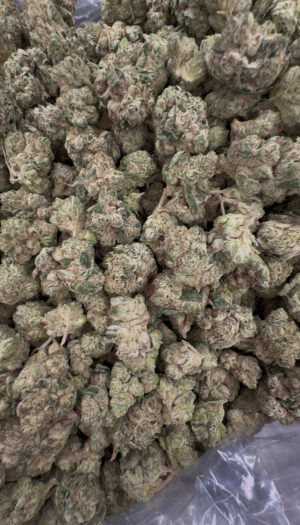 IMG_6934 Strawberry cough