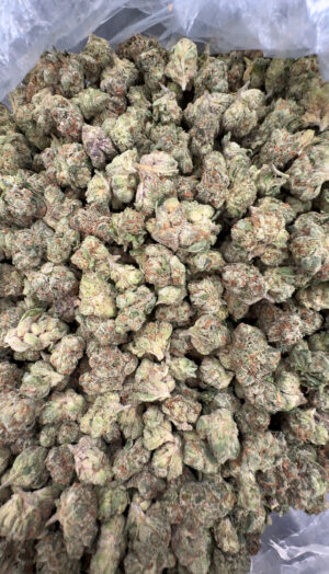 IMG_6939 Candy Krush SMALL