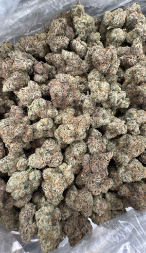 IMG_6949 Pistachio Runtz zaza