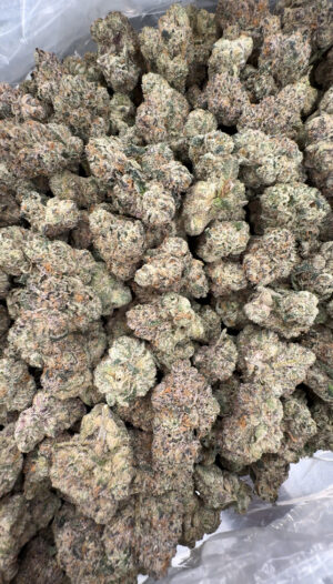 IMG_6954 Bubblegum Gelato