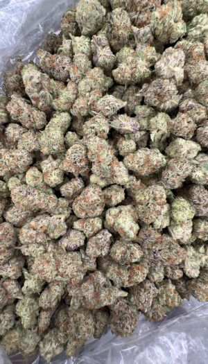 IMG_6963 Black Amber