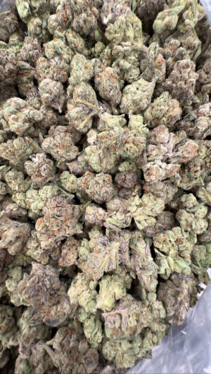 IMG_6971 Grape & Cream