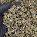 Jolly Rancher smalls