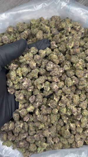 IMG_6999 Jolly Rancher smalls