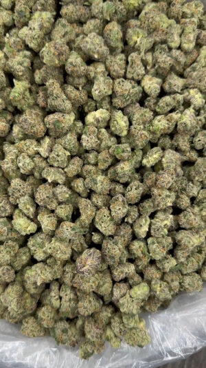 IMG_7007 Supper runts smalls