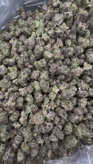 IMG_7016 Cookie N Cream SMALL