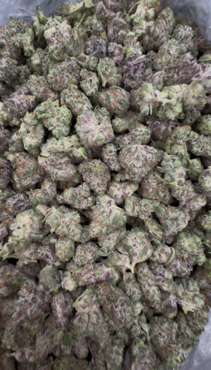 IMG_7018 Black Zushi Smalls