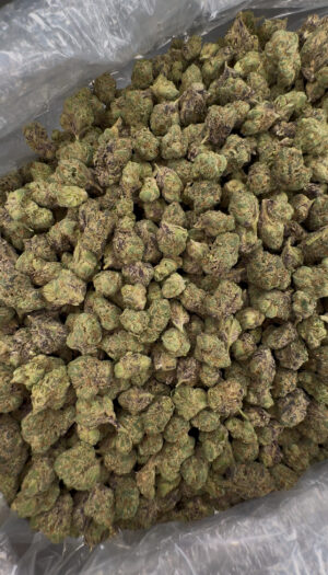 IMG_7024 Bolo Runtz Smalls