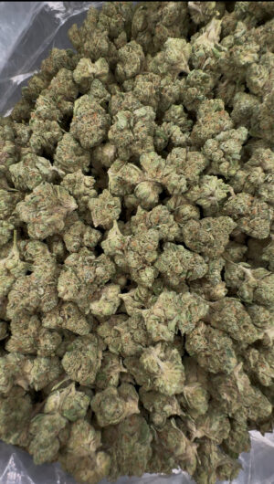 IMG_7031 Zowah smalls