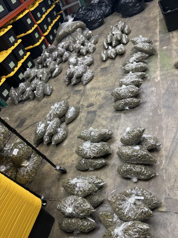 Available deals for flower - 3 pounds smalls 00 -5 pounds smalls 00 -10 pounds smalls 00 (Copy) (Copy) (Copy) (Copy)