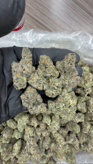 IMG_7510 Warheads (711)