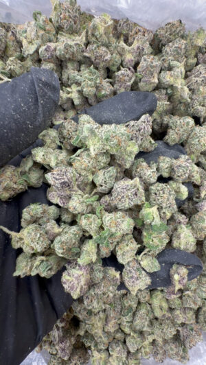 IMG_7516 275 runts smalls