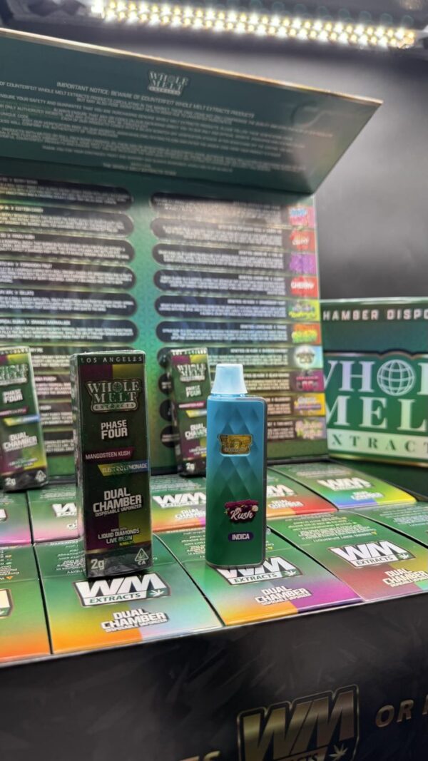 WHOLE MELT (ANOTHER LOOK AT THE NEW WM 🤫)