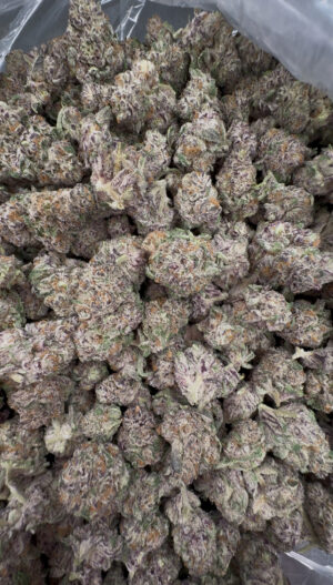 Platinum purple punch