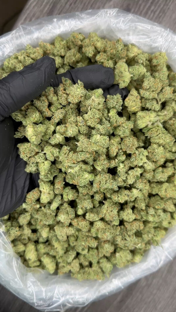 Indoor Tahoe OG smalls