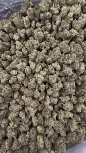 IMG_8246 Grape Candy Runtz SM