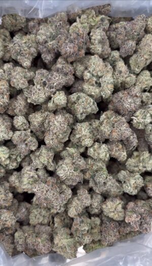 Lemon cherry gelato BG #1